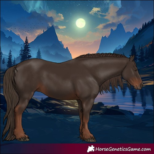 Horse Color:White Spotted Liver Chestnut 