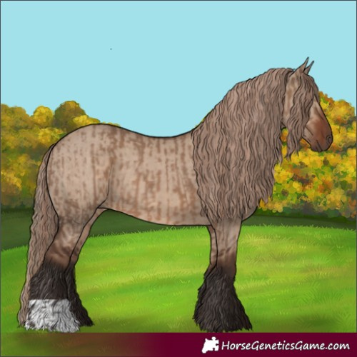 Horse Color:Liver Red Dun and Liver Red Dun