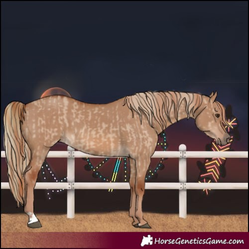 Horse Color:Red Dun  and Red Dun 
