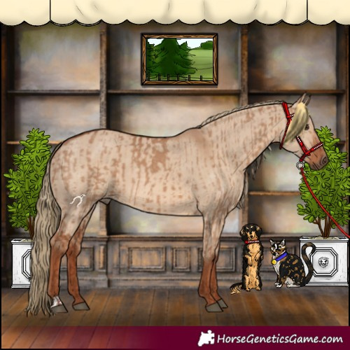 Horse Color:Red Dun  and Red Dun 