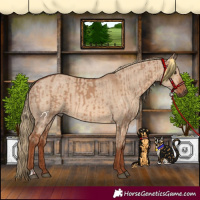Horse Color:Red Dun  and Red Dun 