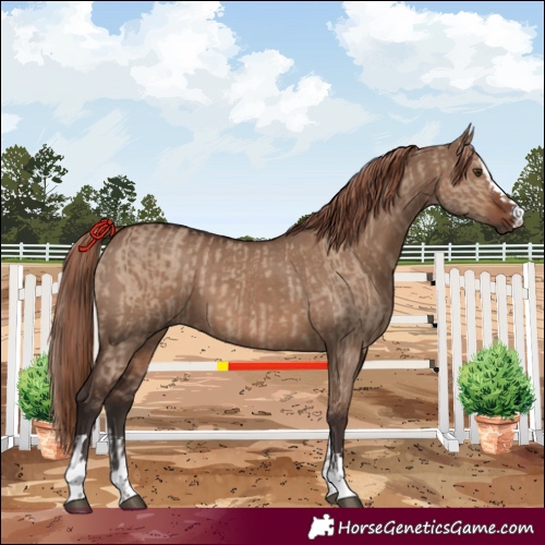 Horse Color:Liver Red Dun  and Liver Red Dun 