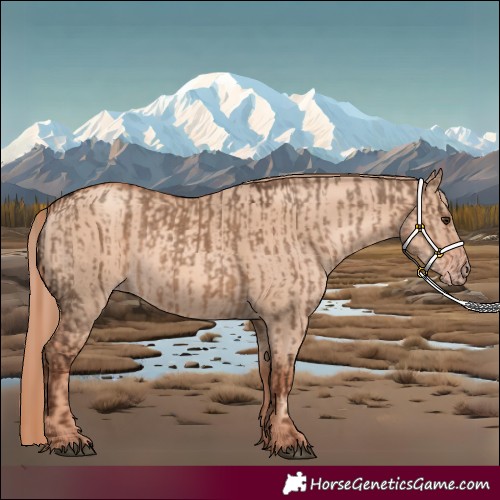 Horse Color:Liver Red Dun  and Gold Champagne Dun 