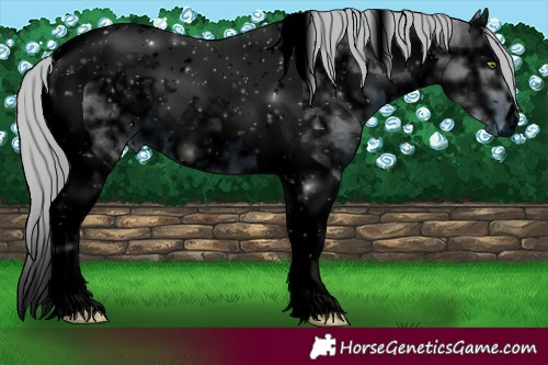 Horse Color:ERROR: UNKNOWN ANOMALY