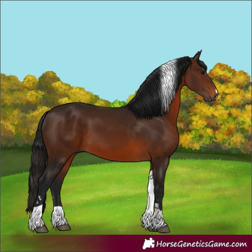Horse Color:Gray Bay Tobiano 