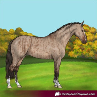 Horse Color:Liver Red Dun  and Liver Red Dun 