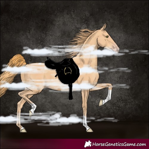 Horse Color:Gold Champagne Tobiano 