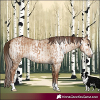 Horse Color:Red Dun  and Gray Red Dun 