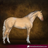 Horse Color:Red Dun Tobiano and Palomino Dun