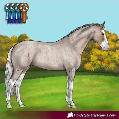 Horse Color:Silver Grullo Roan Splash 