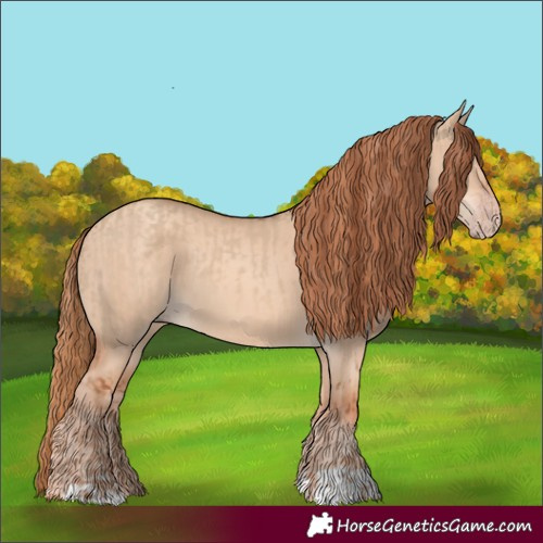 Horse Color:Red Dun  and Gold Champagne Dun 
