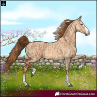 Horse Color:Red Dun  and Red Dun 