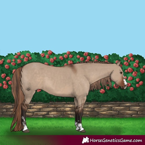 Horse Color:Liver Red Dun  and Liver Red Dun 