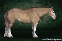 Horse Color:Chocolate Buckskin Dun Sabino