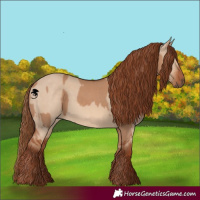 Horse Color:Red Dun  and Red Dun 