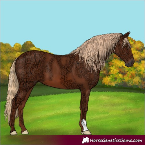 Horse Color:Chestnut Ice 