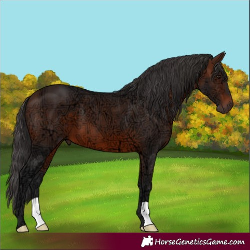 Horse Color:Brown Ice 