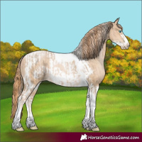 Horse Color:Chocolate Palomino Pearl Tobiano Frame and Buckskin Pearl Tobiano Frame