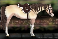 Horse Color:Amber Champagne Onyx