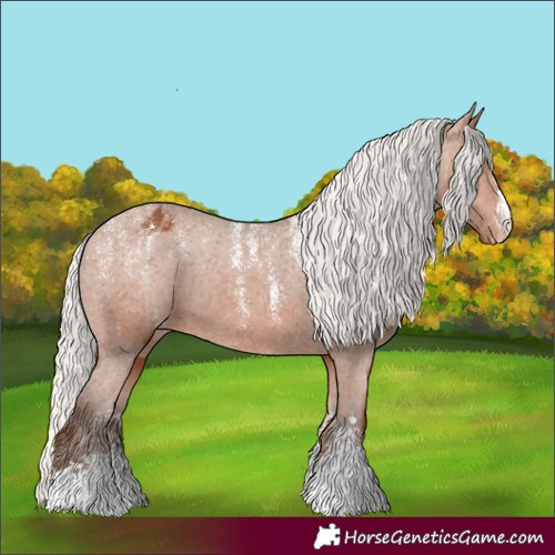 Horse Color:Powder White Silver Bay Appaloosa 