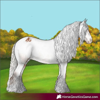 Horse Color:Powder White Silver Bay Varnish 