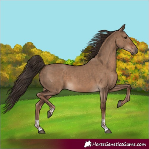 Horse Color:Liver Red Dun  and Liver Red Dun 