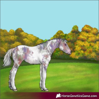 Horse Color:Nacre White Spotted Silver Brown Chinchilla Ice Tobiano 