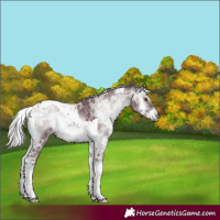 Horse Color:Chocolate Silver Blue Onyx Chinchilla Ice Tobiano