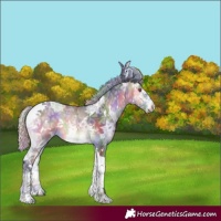 Horse Color:Nacre White Spotted Silver Buckskin Chinchilla Ice Onyx Tobiano