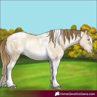 Horse Color:White Spotted Brown Snowdrop Pearl Dun Tobiano