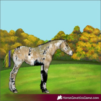 Horse Color:Painted Watercolor Red Onyx Ice Tobiano 