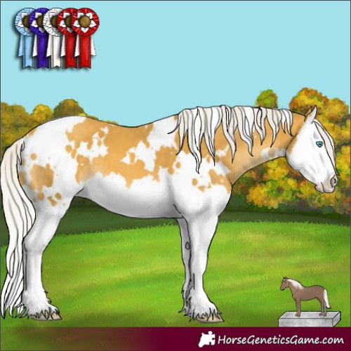 Horse Color:White Spotted Silver Sable Cream Champagne Mushroom Splash 