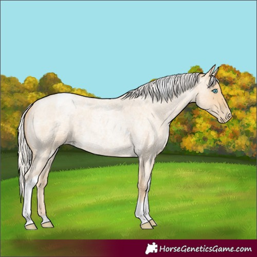 Horse Color:Silver Smoky Blue Roan Pearl Tobiano Rabicano 