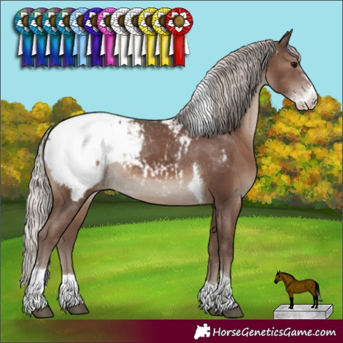Horse Color:Silver Black Sabino Tobiano Snowcap Rabicano 
