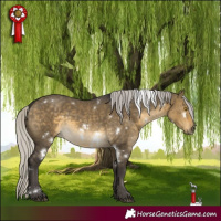Horse Color:White Spotted Silver Buckskin Dun 