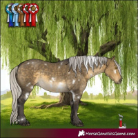 Horse Color:White Spotted Silver Buckskin Dun 