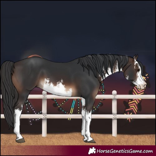 Horse Color:White Spotted Brown 