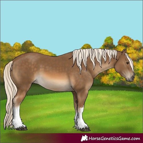 Horse Color:White Spotted Chocolate Palomino 