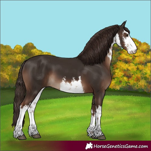 Horse Color:White Spotted Liver Chestnut 