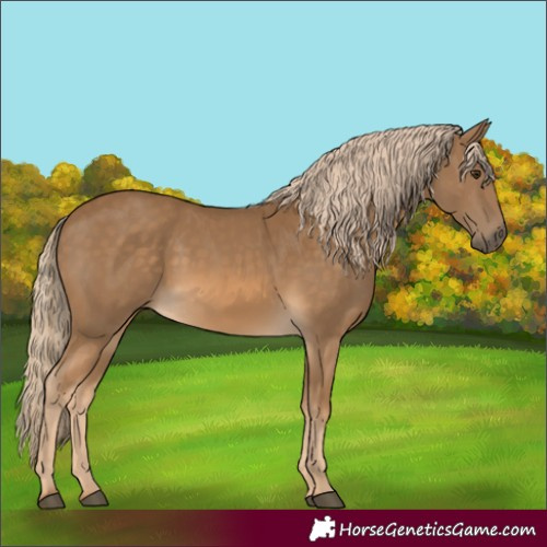 Horse Color:Chocolate Palomino 