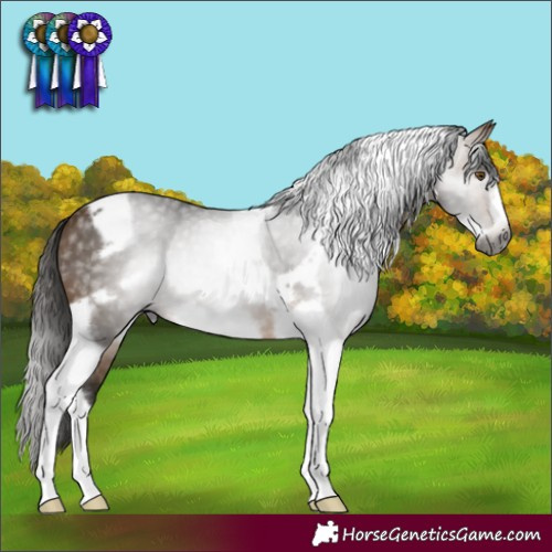 Horse Color:Gray Buckskin Tobiano Frame 
