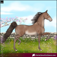 Horse Color:White Spotted Classic Champagne 