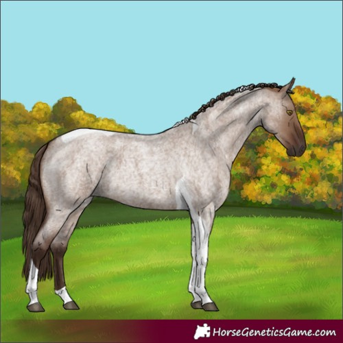 Horse Color:Liver Red Dun Roan Tobiano 
