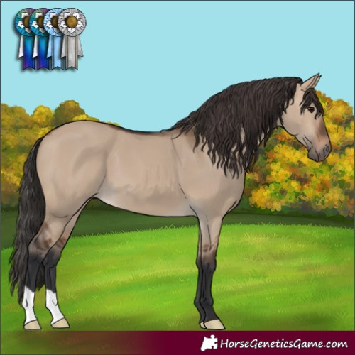 Horse Color:Brown Dun 