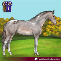 Horse Color:Brown Tobiano Varnish