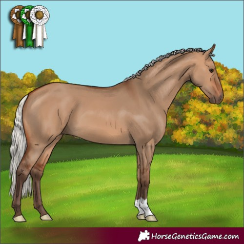 Horse Color:Silver Bay Dun 