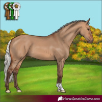 Horse Color:Silver Bay Dun 
