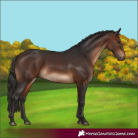 Horse Color:White Spotted Brown 