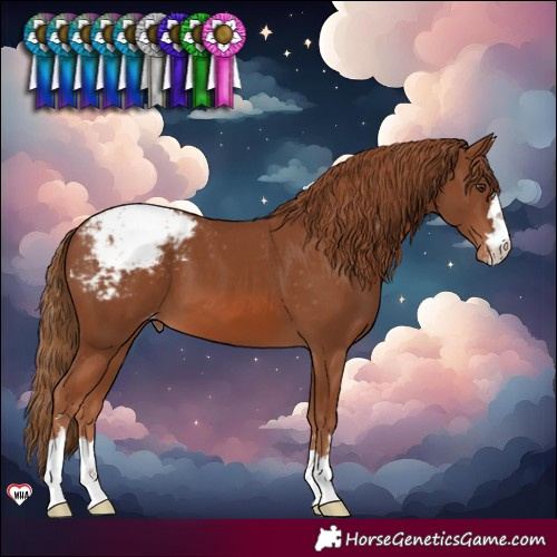Horse Color:Chestnut Varnish 
