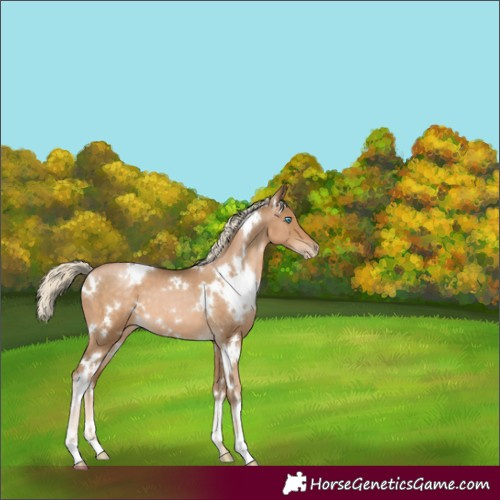 Horse Color:White Spotted Chocolate Palomino Pearl Varnish 